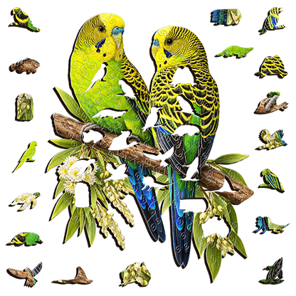 Wild Budgies
