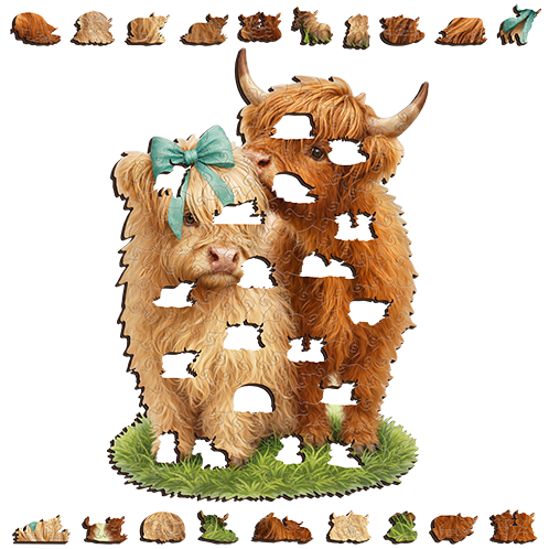 Highland Cow Cuties