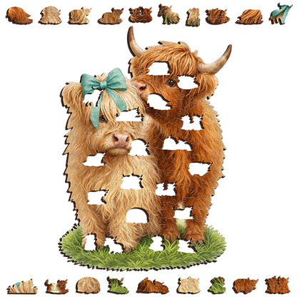 Highland Cow Cuties