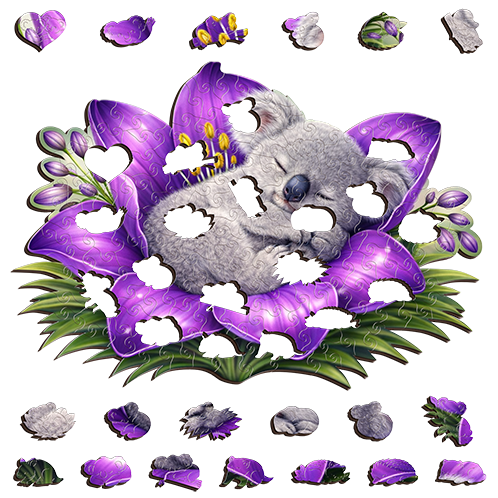 Koala - Violet Slumber