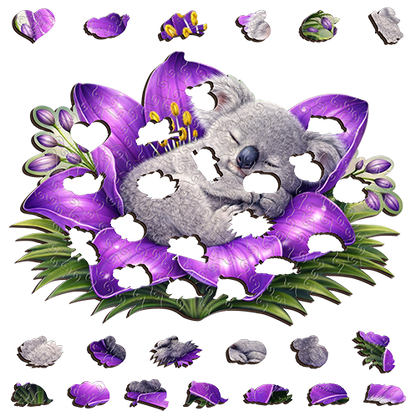 Koala - Violet Slumber