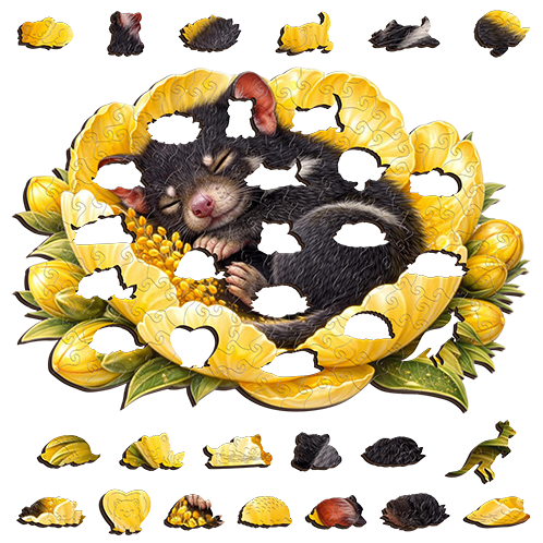 Tasmanian Devil - Sunlit Sleep