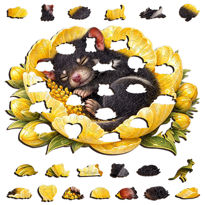 Tasmanian Devil - Sunlit Sleep