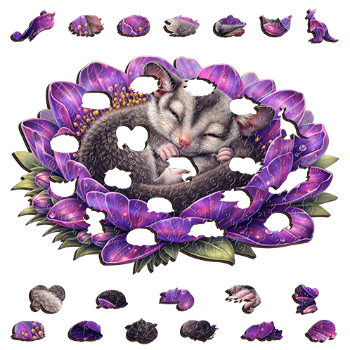 Sugar Glider - Amethyst Whisper
