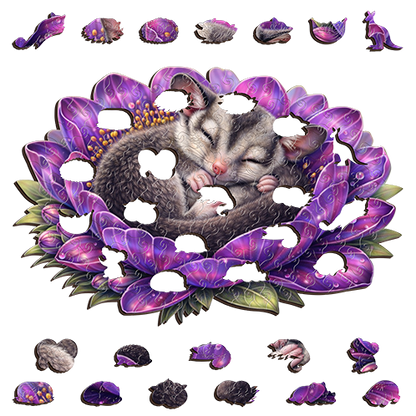 Sugar Glider - Amethyst Whisper