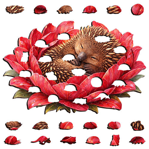Echidna - Crimson Nest