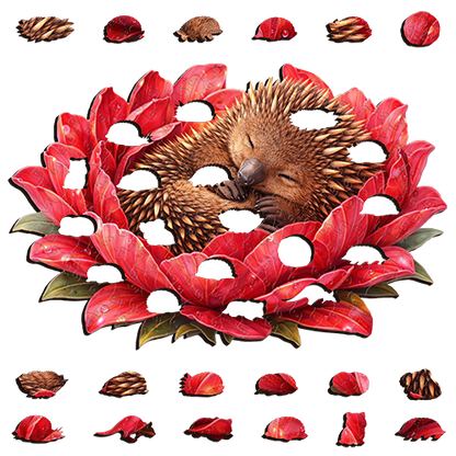 Echidna - Crimson Nest