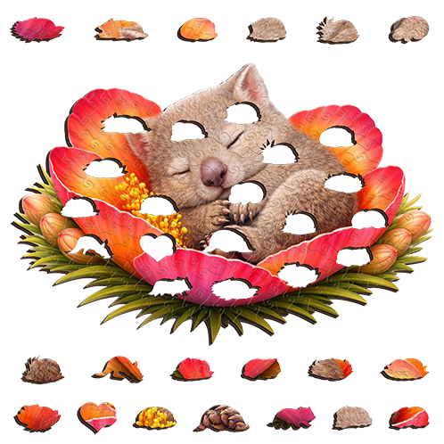 Wombat - Ember Bloom