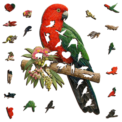 King Parrot