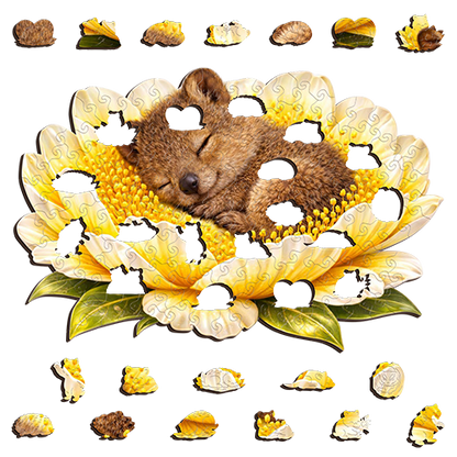 Quokka - Golden Rest