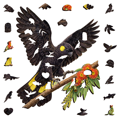 Black Yellow Tail Cockatoo