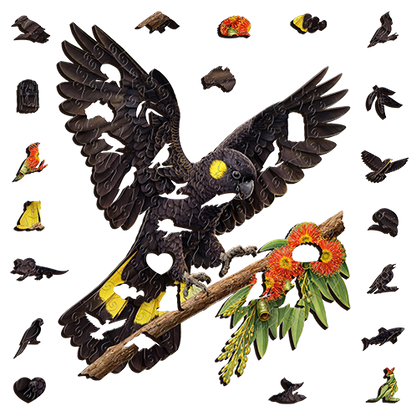 Black Yellow Tail Cockatoo