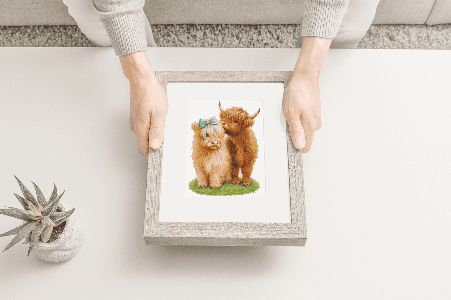 Highland Cow Cuties
