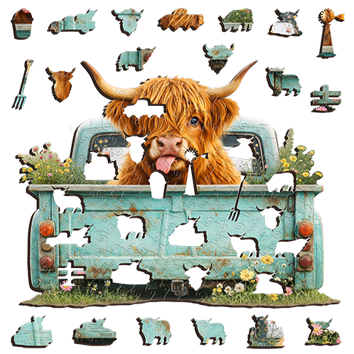 Highland Cow Country Ride