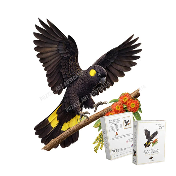 Black Yellow Tail Cockatoo