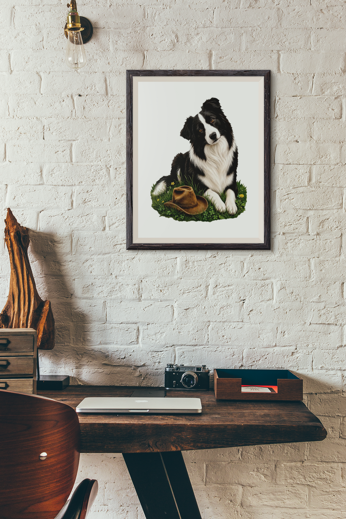 Border Collie Companion