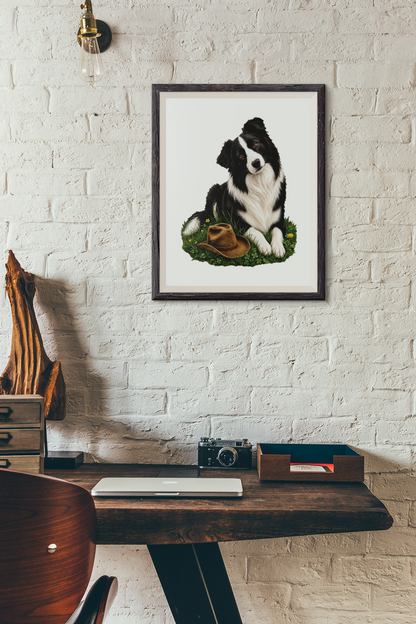 Border Collie Companion