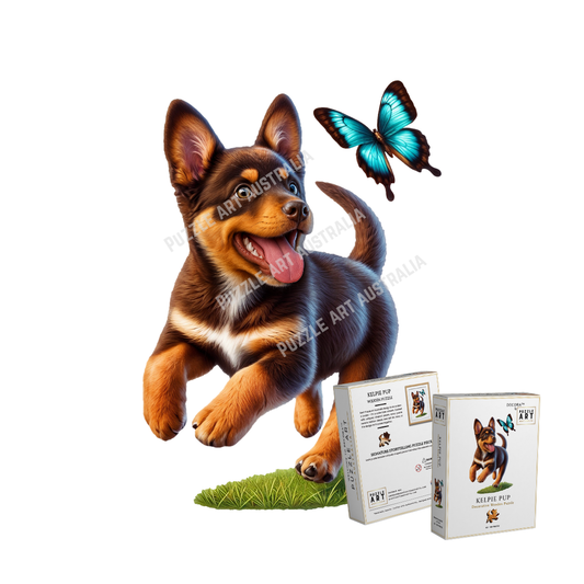 Kelpie Pup