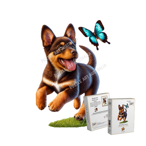 Kelpie Pup