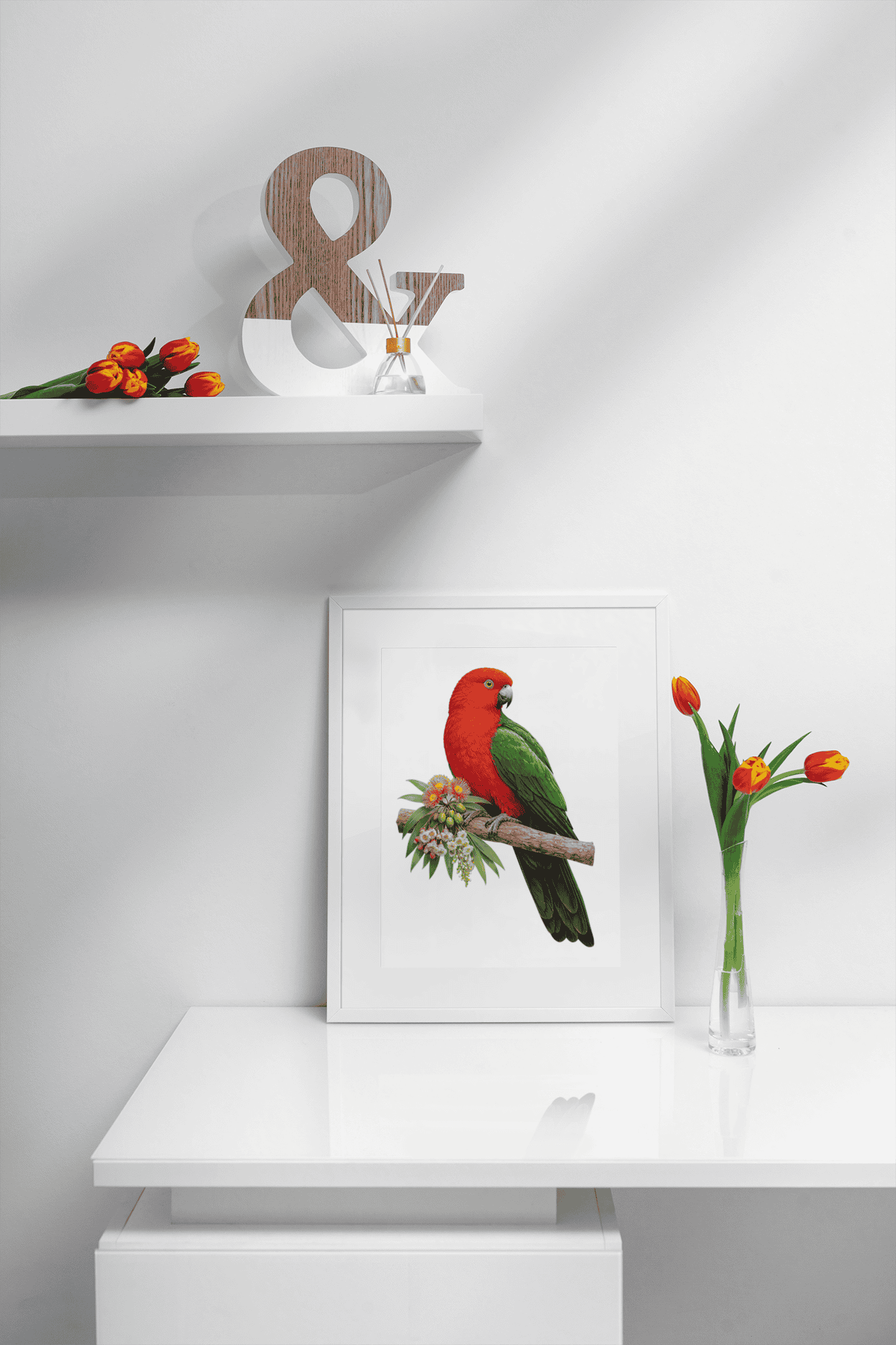 King Parrot