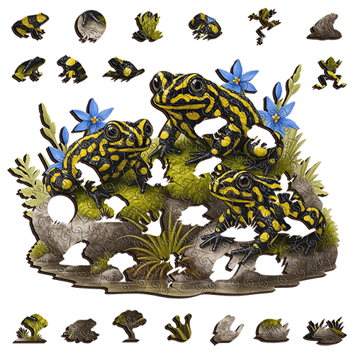 Southern Corroboree Frog