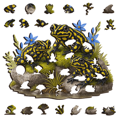 Southern Corroboree Frog