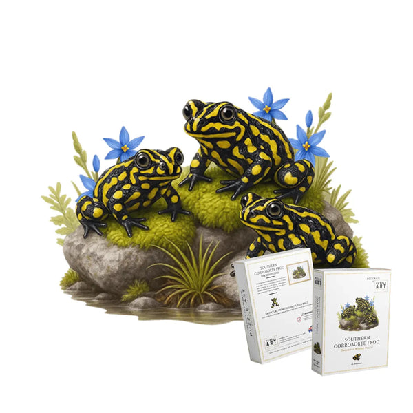 Southern Corroboree Frog