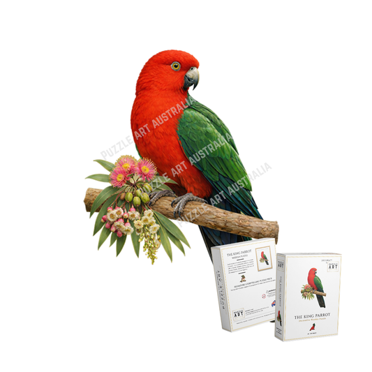 King Parrot