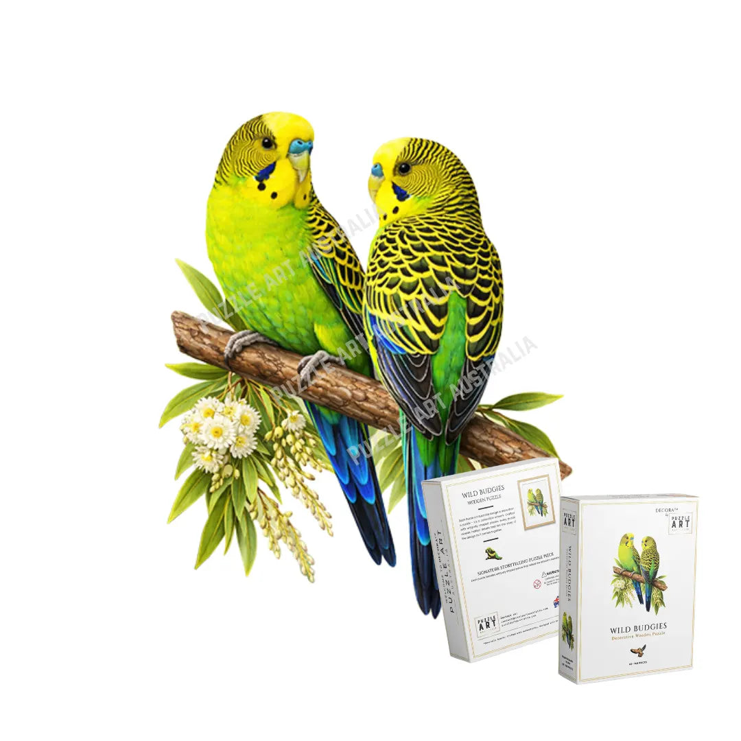 Wild Budgies