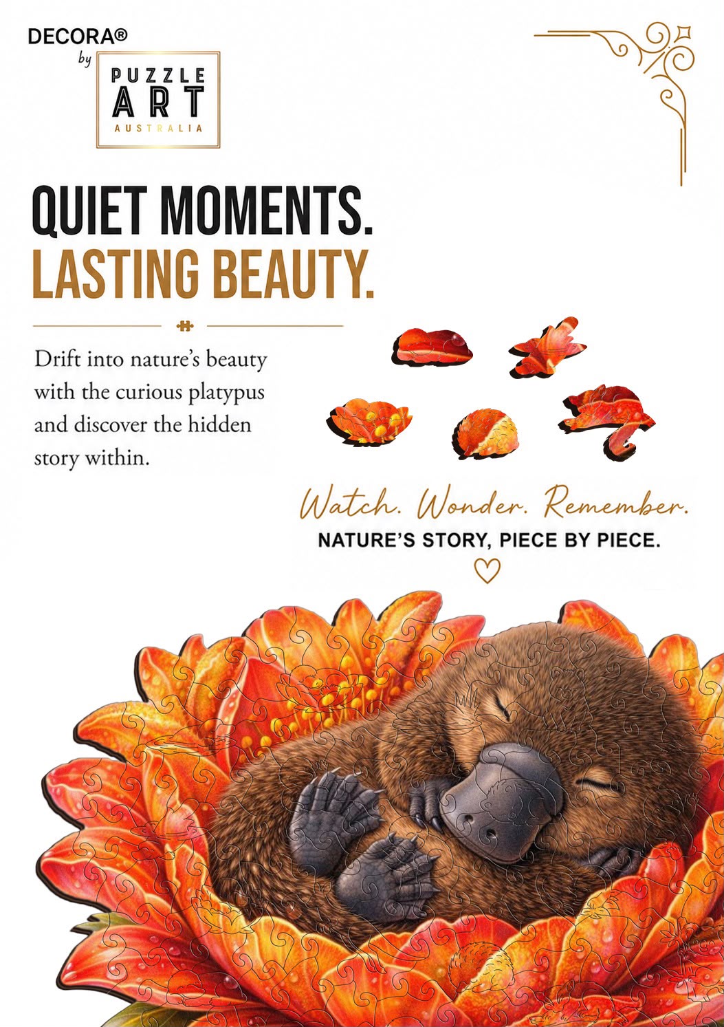 Quiet Moments. Lasting Beauty.