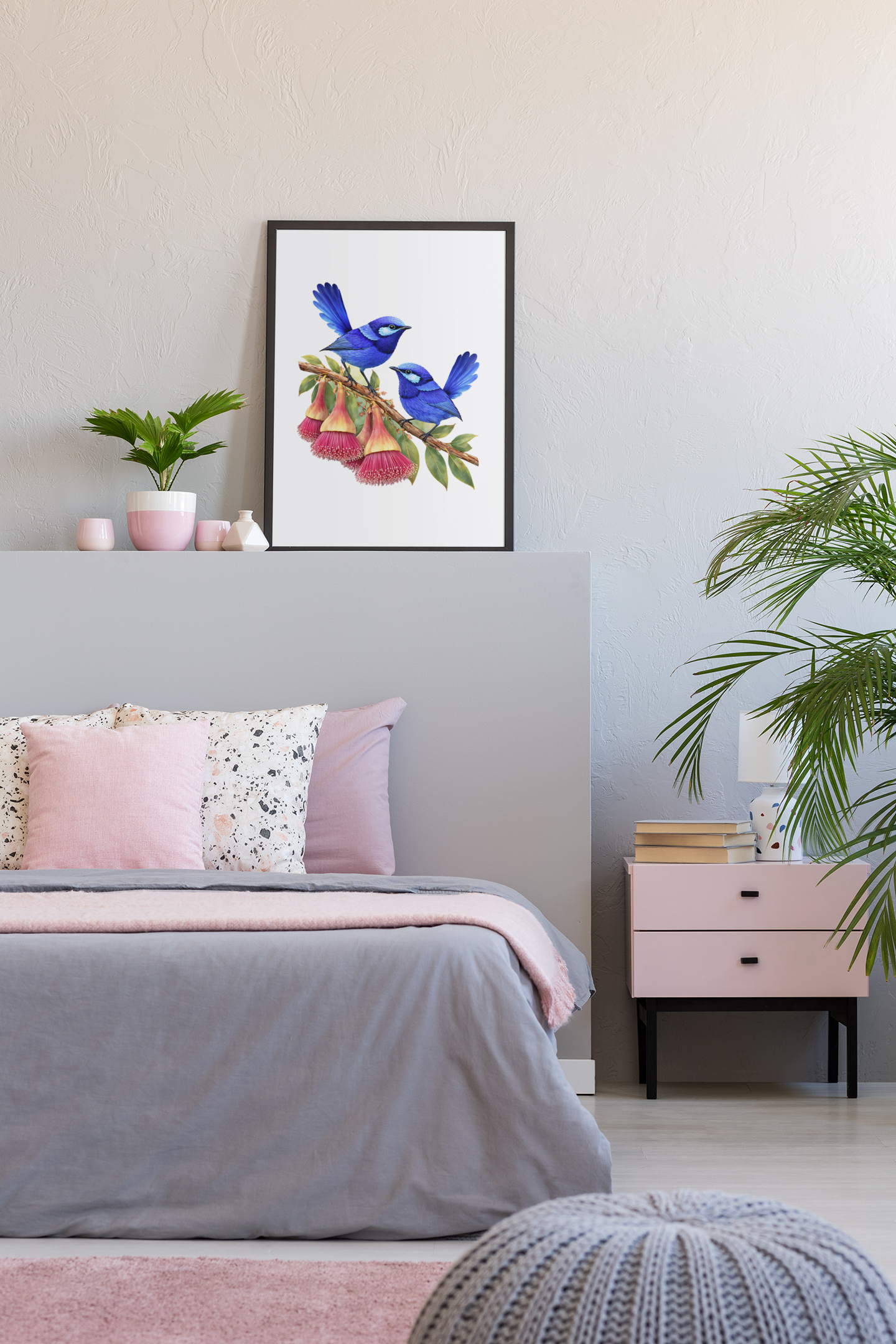 Splendid Fairy wrens