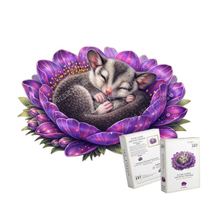 Sugar Glider - Amethyst Whisper