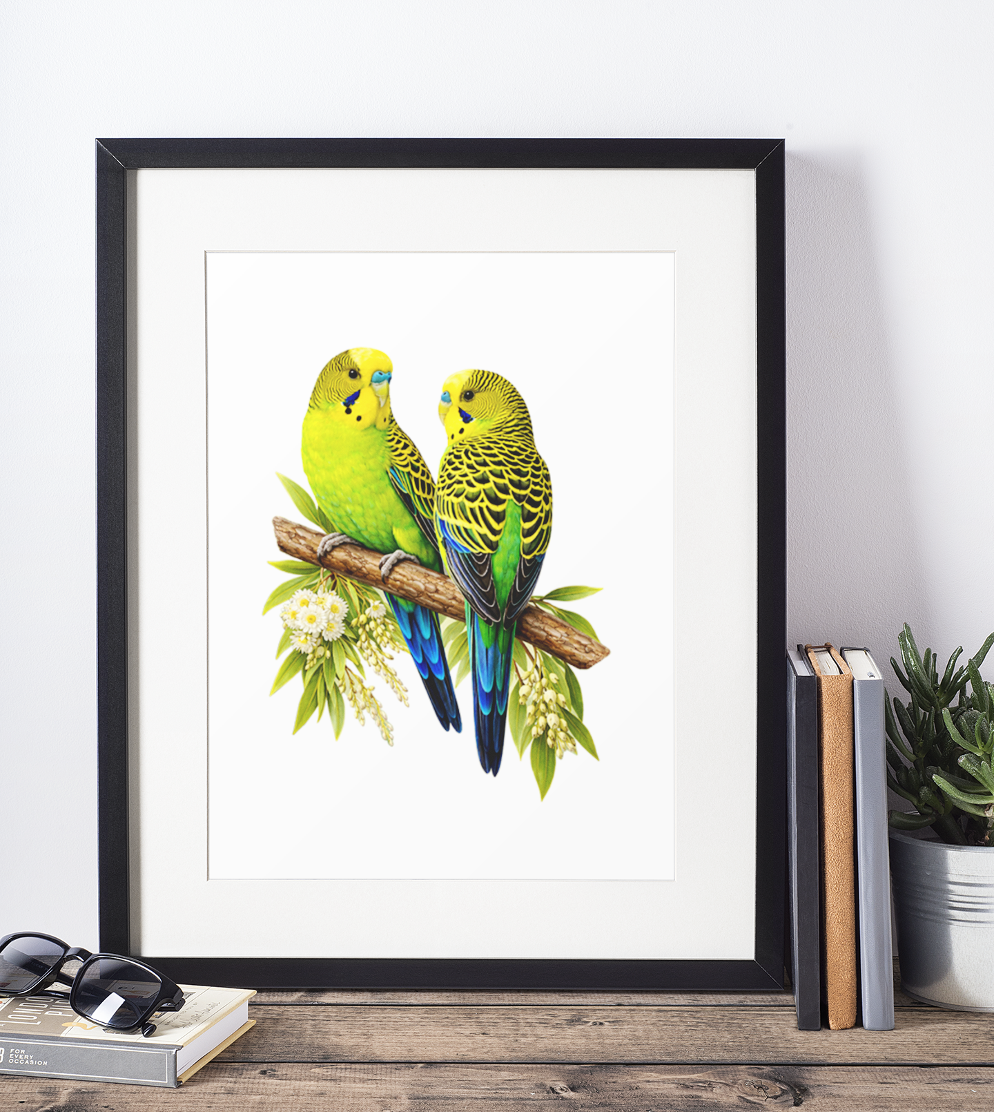 Wild Budgies