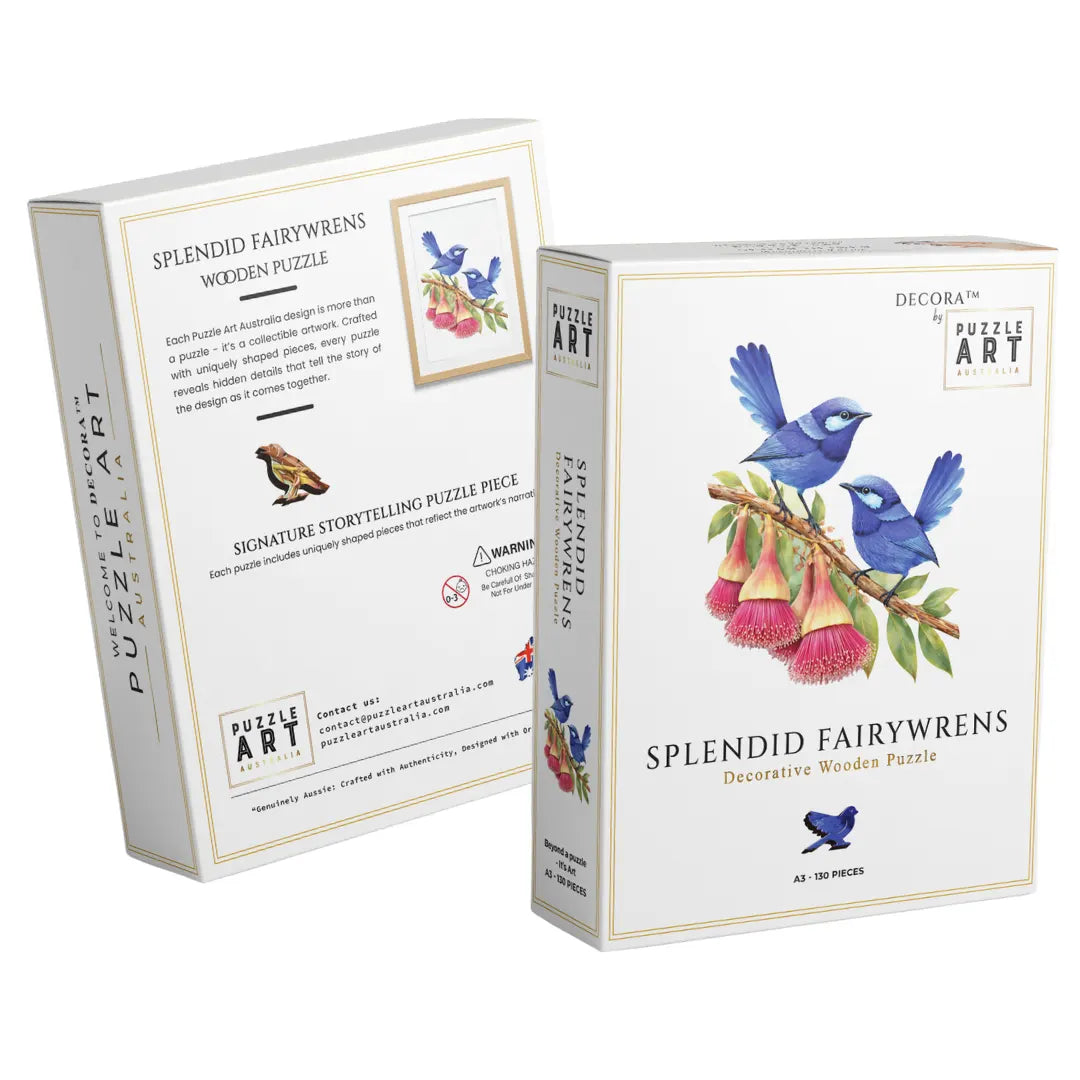 Splendid Fairy wrens