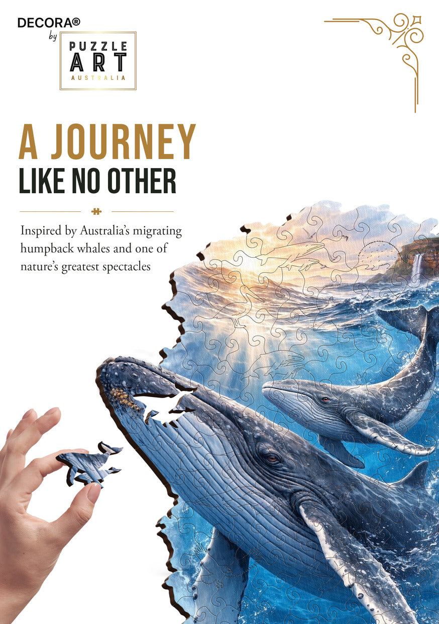 A Journey Like No Other