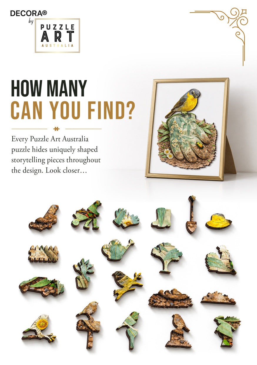 How Many Can You Find?